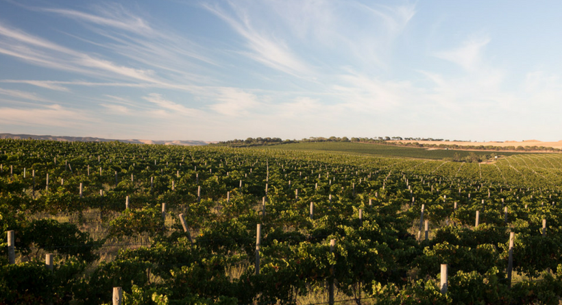Dowie Doole Wines | Halliday Wine Companion